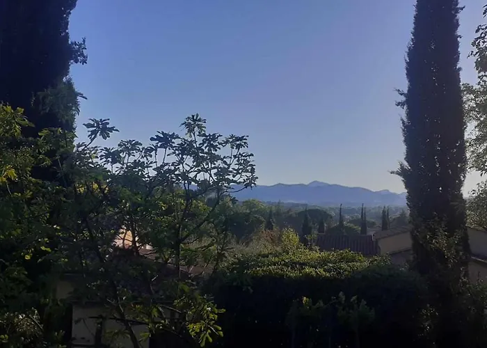 Les Verveines de Vaison