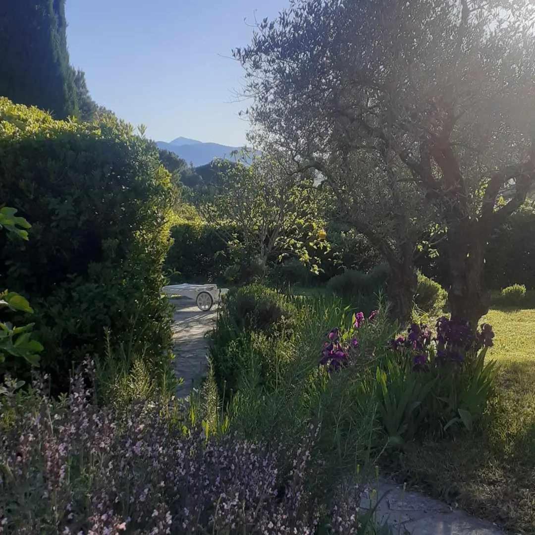 Les Verveines De Vaison-la-Romaine